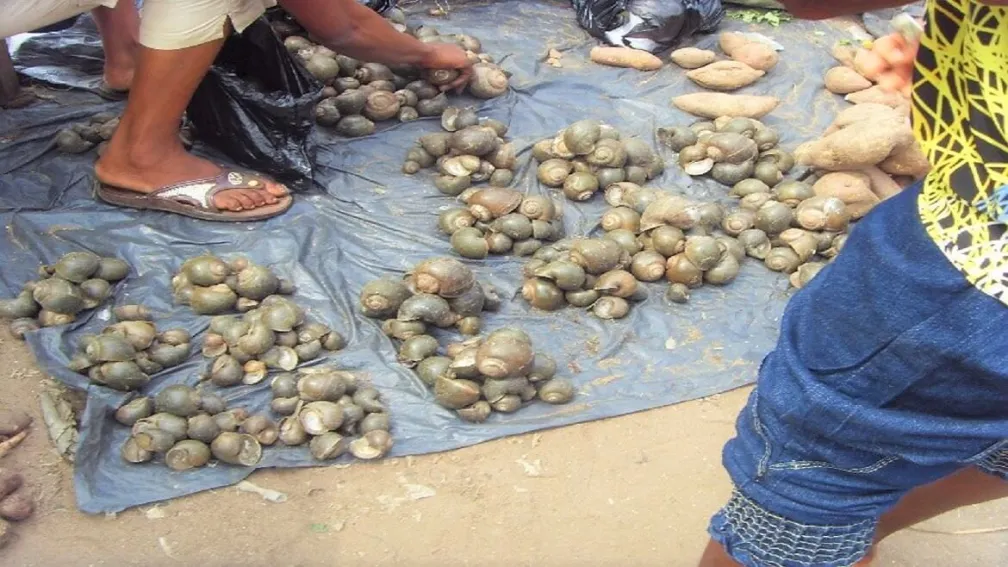 Biological Resources