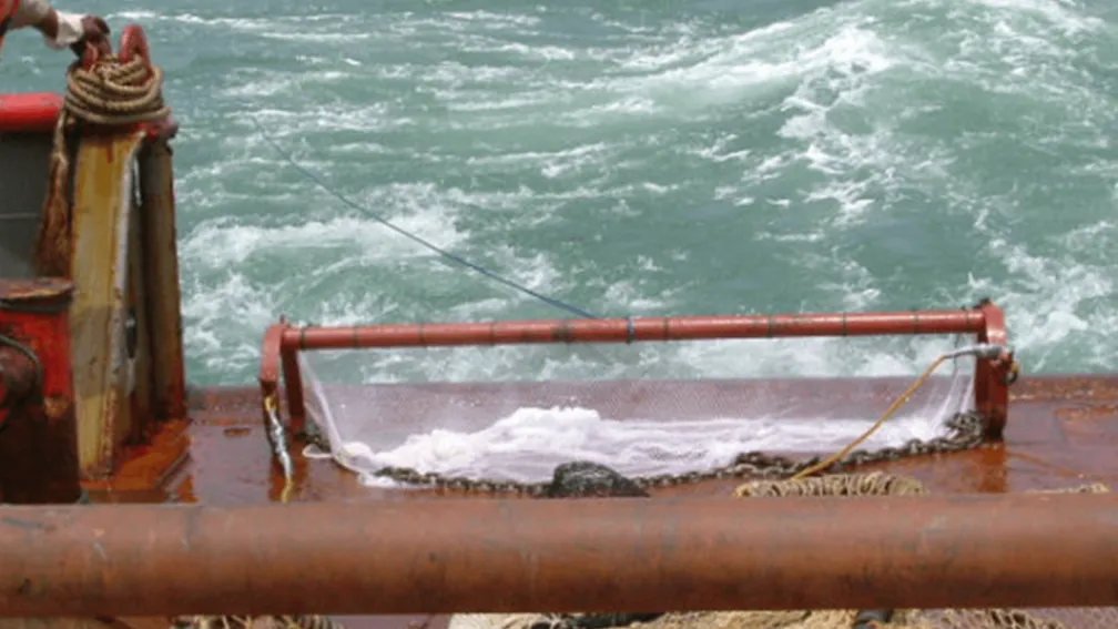 Dermasal Fisheries Study